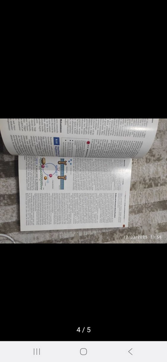 Brock Mikroorganizmaların Biyolojisi Kitabı - Görsel 3