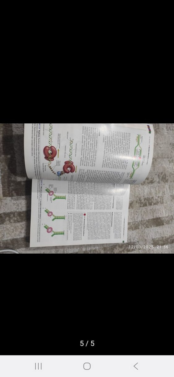 Brock Mikroorganizmaların Biyolojisi Kitabı - Görsel 4