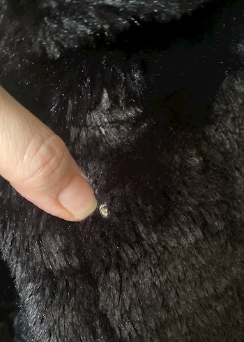 Siyah Yılan Desenli Kürklü Kadın Yelek - Görsel 7