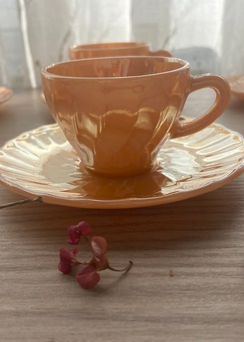 Vintage 6'lı Fincan ve Tabak Seti - Görsel 4