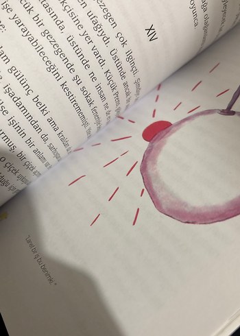 Küçük Prens - Cemal Süreya & Tomris Uyar Çevirisi - Görsel 2