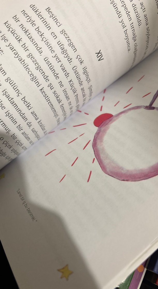 Küçük Prens - Cemal Süreya & Tomris Uyar Çevirisi - Görsel 2