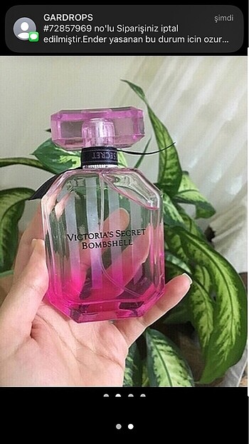 Victoria s Secret Victoria secret parfüm