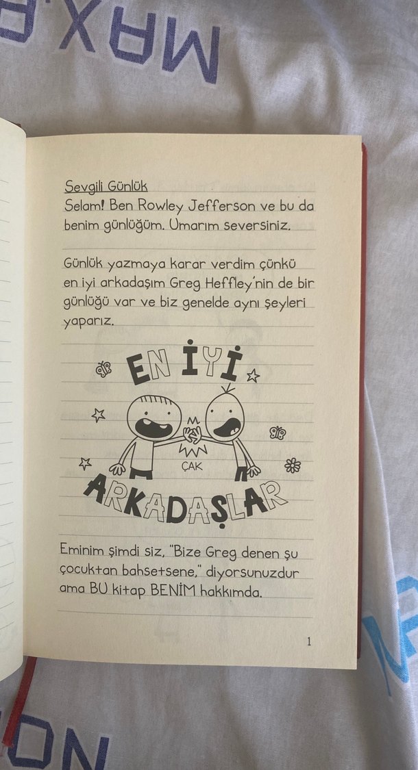 satılık Müthiş Arkadaş - Rowley'nin Günlüğü - Görsel 2