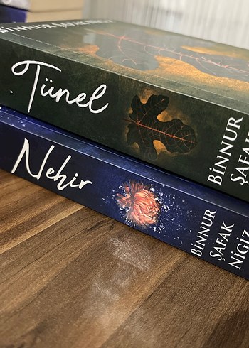 Binnur Şafak Nigiz İs serisi