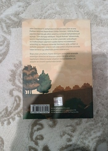 Gazap Üzümleri - John Steinbeck - Görsel 2