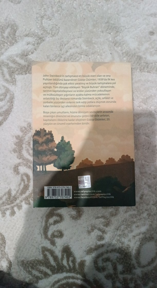 Gazap Üzümleri - John Steinbeck - Görsel 2