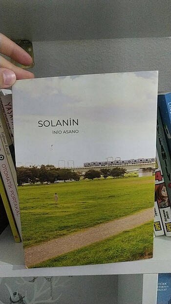 Solanin
