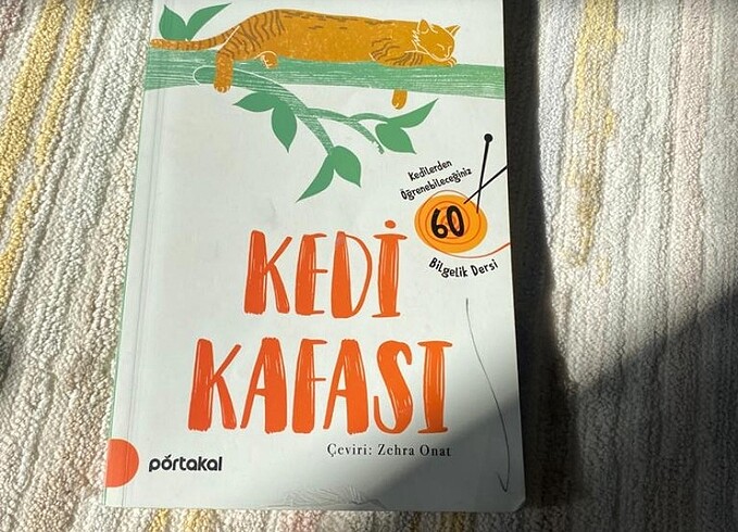 Kedi kafası