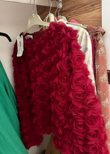 Zara 3 boyutlu güllü bordo bluz