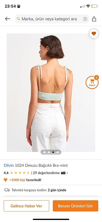 Dilvin Dilvin crop