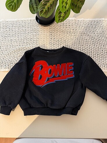 Zara çocuk sweatshirt