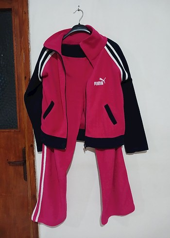 Puma Pumaa