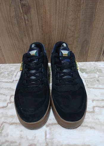 Puma pumaa