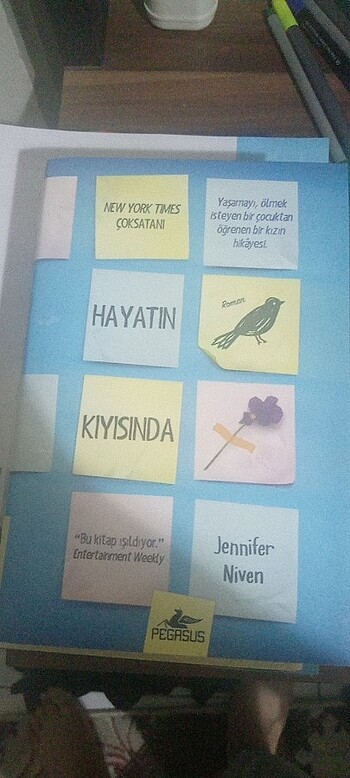 Hayatın kıyısında