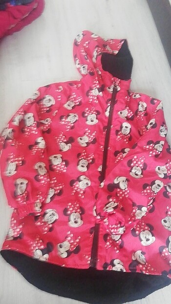 Mickey Mouse mont
