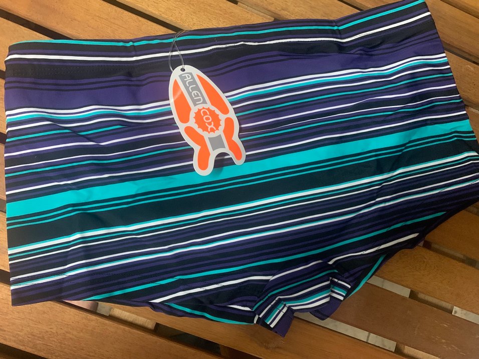 Erkek Lacivert Çizgili Mini şort Mayo - Görsel 2