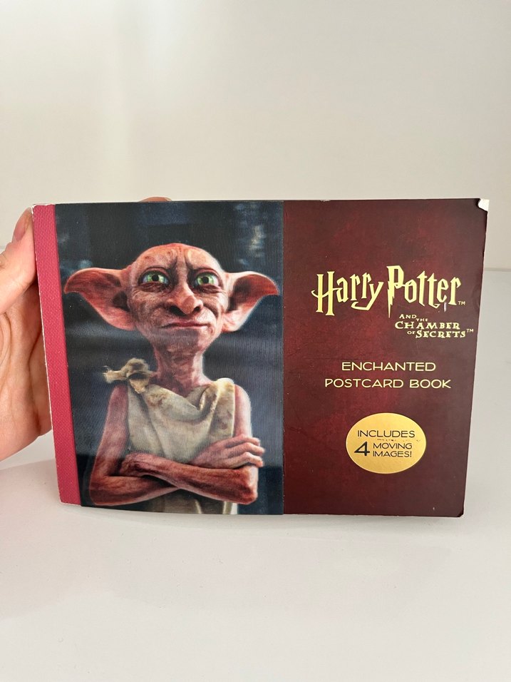Harry Potter Kitap ve Koleksiyon Seti - Görsel 4