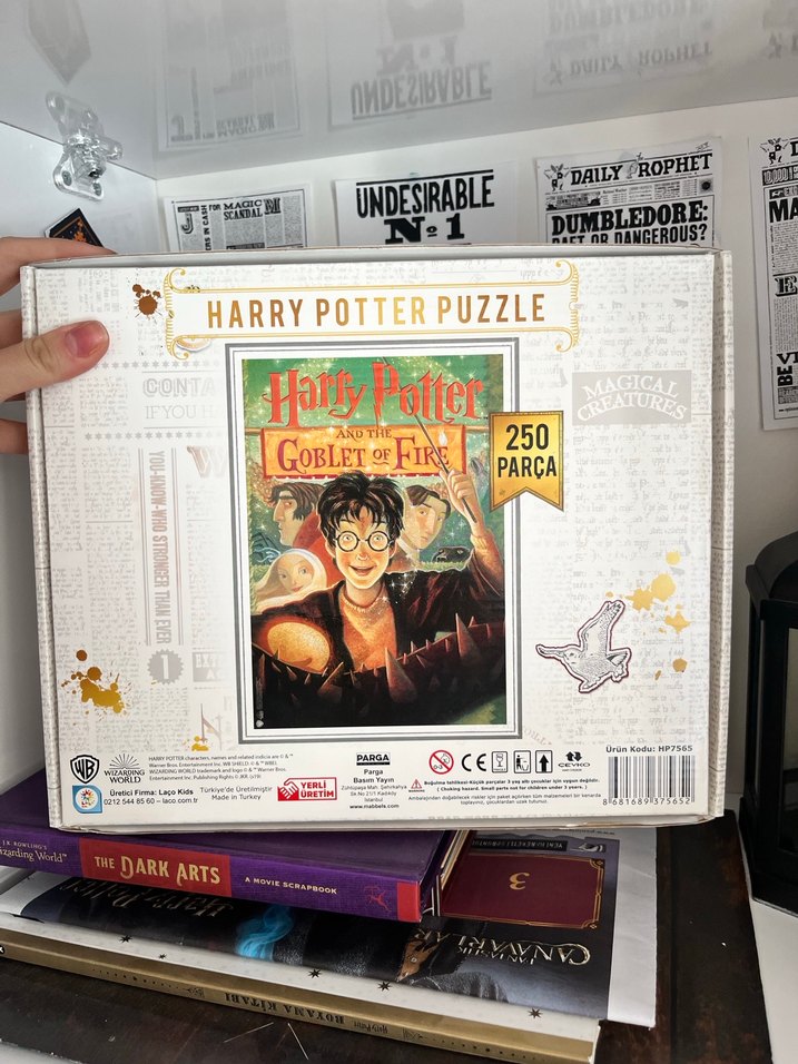 Harry Potter Kitap ve Koleksiyon Seti - Görsel 5