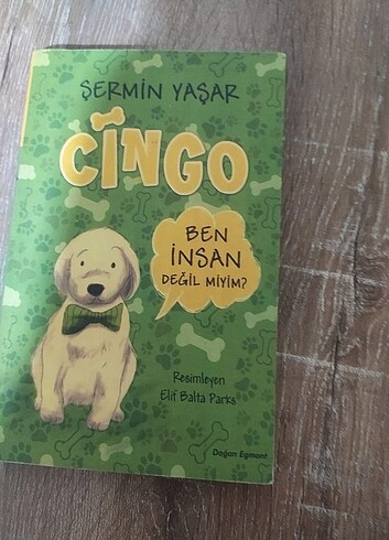 Şermin Yaşar kitabı 