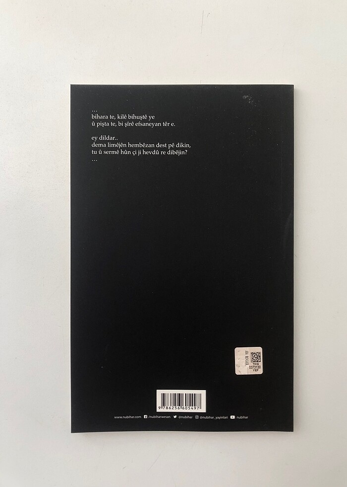 Hevdîtina Pêxemberan - Dîlan Şewqî - Görsel 2