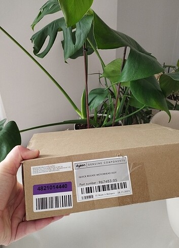 Dyson V15 başlık 