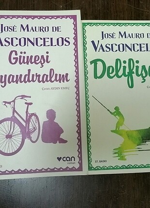 Güneşi uyandıralım delifişek kitapları 