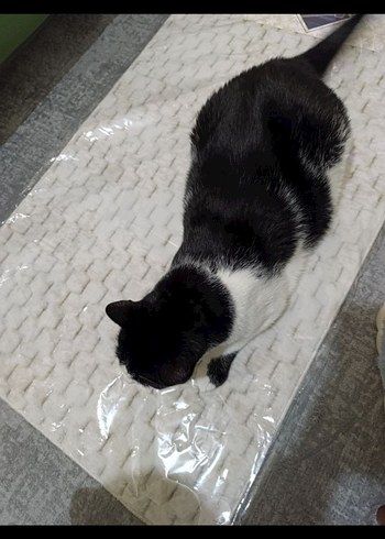 Bej ikili klozet seti - Görsel 2