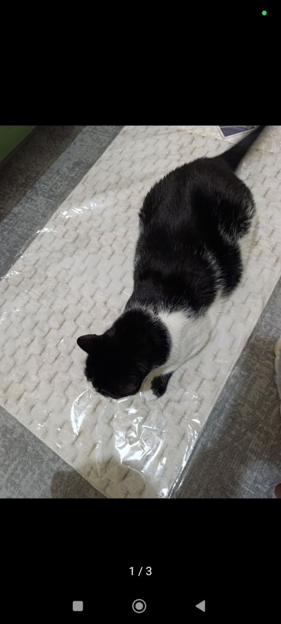 Bej ikili klozet seti - Görsel 2