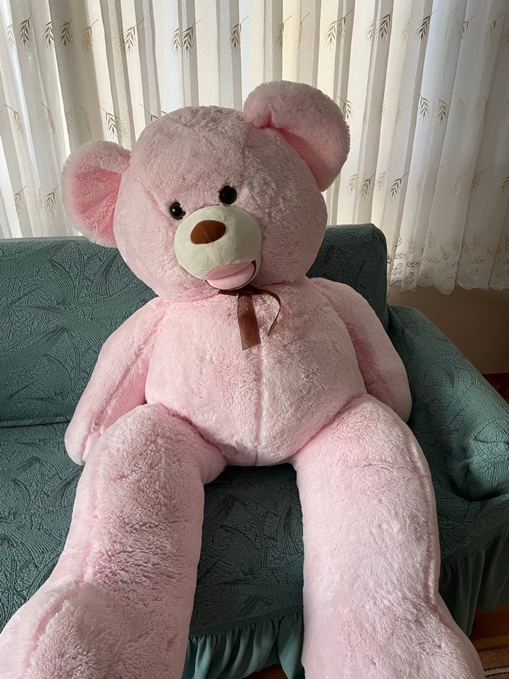 Büyük Pembe Peluş Ayı Oyuncak - Görsel 4