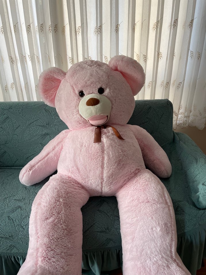 Büyük Pembe Peluş Ayı Oyuncak - Görsel 3