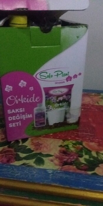 Orkide bakımı kiti