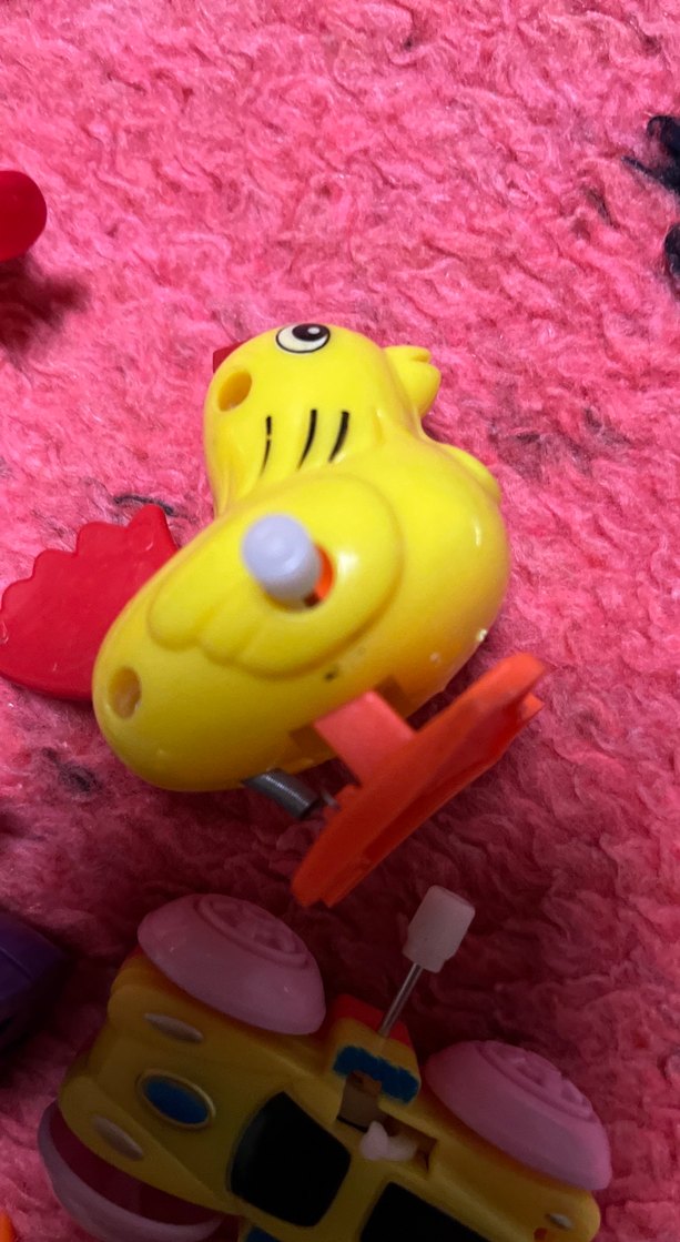 Renkli Kurmalı Hayvan ve Araç Oyuncakları - Görsel 5