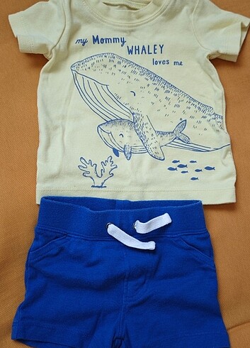 Carters bebek takim