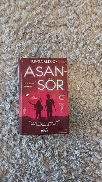 Beyza alkoc Asansör 