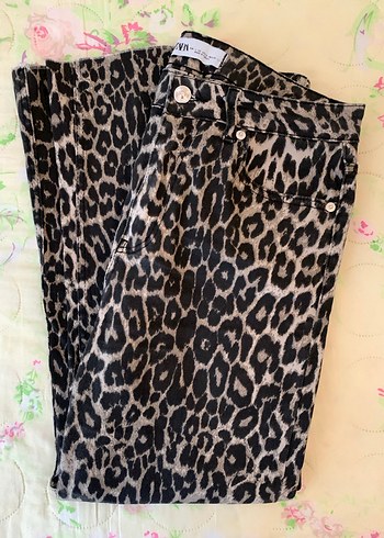 Leopar desen kot