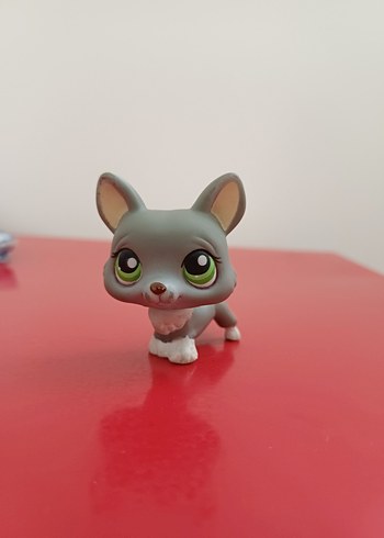 lps minişler köpek