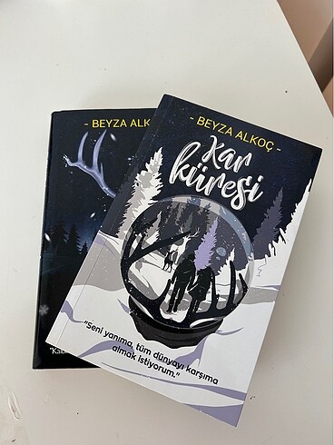 Kar Küresi & Kar Tanesi - Beyza Alkoç