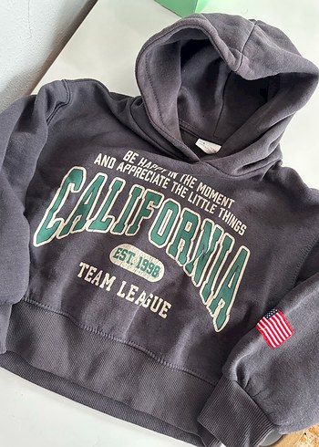 Gri Baskılı Kapüşonlu Sweatshirt - Görsel 3