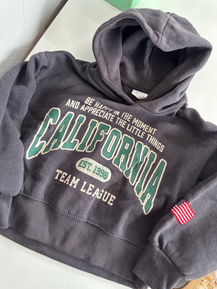 Gri Baskılı Kapüşonlu Sweatshirt - Görsel 3