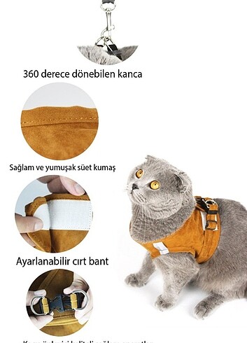 Göğüs tasması