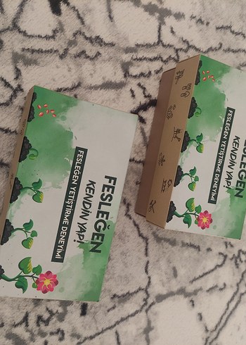 Beden yeşil Renk Seramik Saksıda Fesleğen Yetiştirme Seti