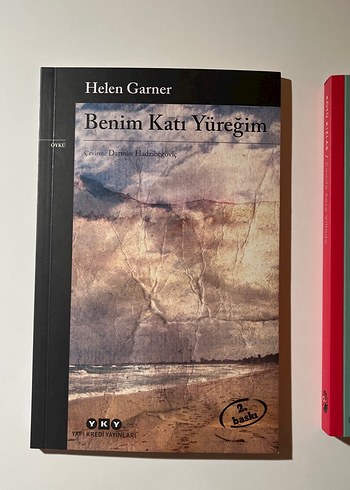 mina de vanghel - Benim Katı Yüreğim ve kötü kızlar - Görsel 4
