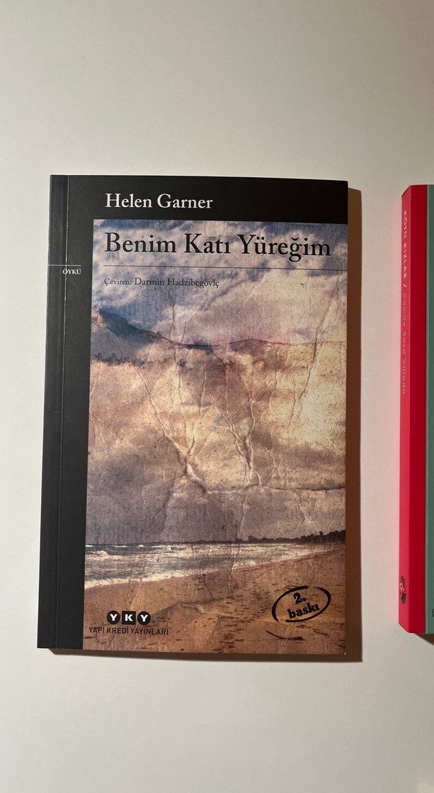 mina de vanghel - Benim Katı Yüreğim ve kötü kızlar - Görsel 4