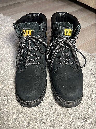 Cat bot