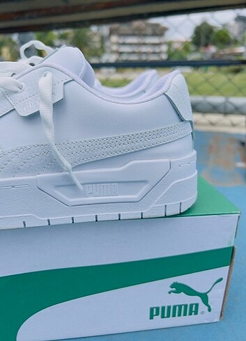 Puma cali dream 