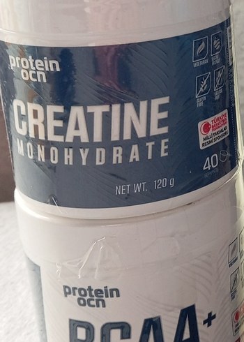 Protein ocn