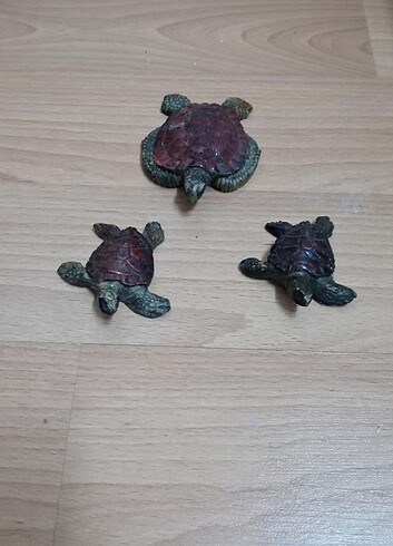 Kaplumbağa set