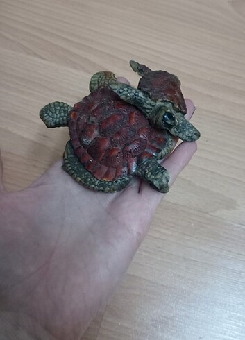 Diğer Kaplumbağa set