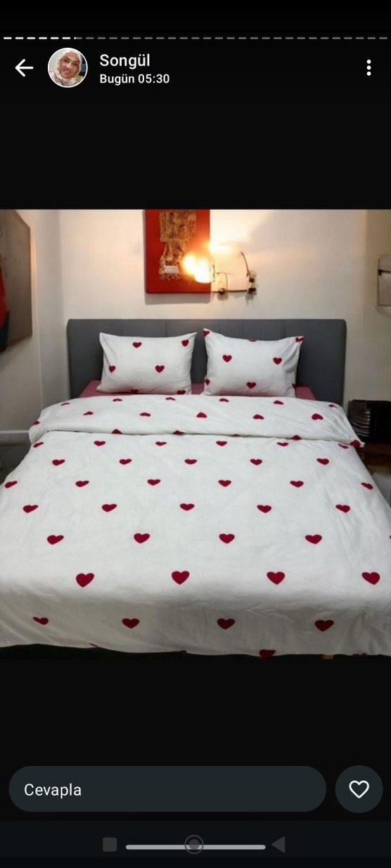 Çift Kişilik Kırmızı Kalp Desenli Nevresim Takımı - Görsel 2